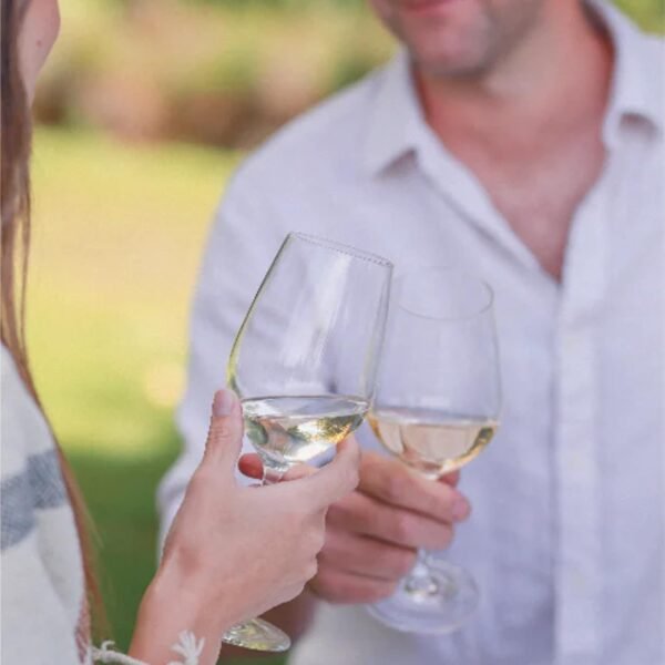 Giesen Non-Alcoholic Premium Pinot Grigio - Premium Dealcoholized White Wine Pinot Gris from New Zealand | 12 PACK：圖片 4