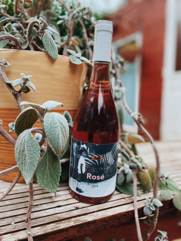 Silesian Rose 2023：圖片 2