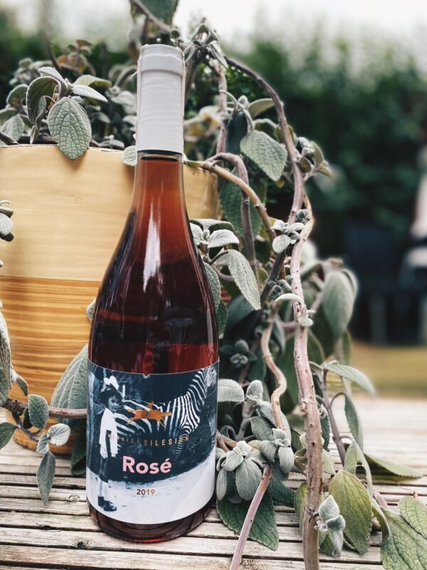 Silesian Rose 2023